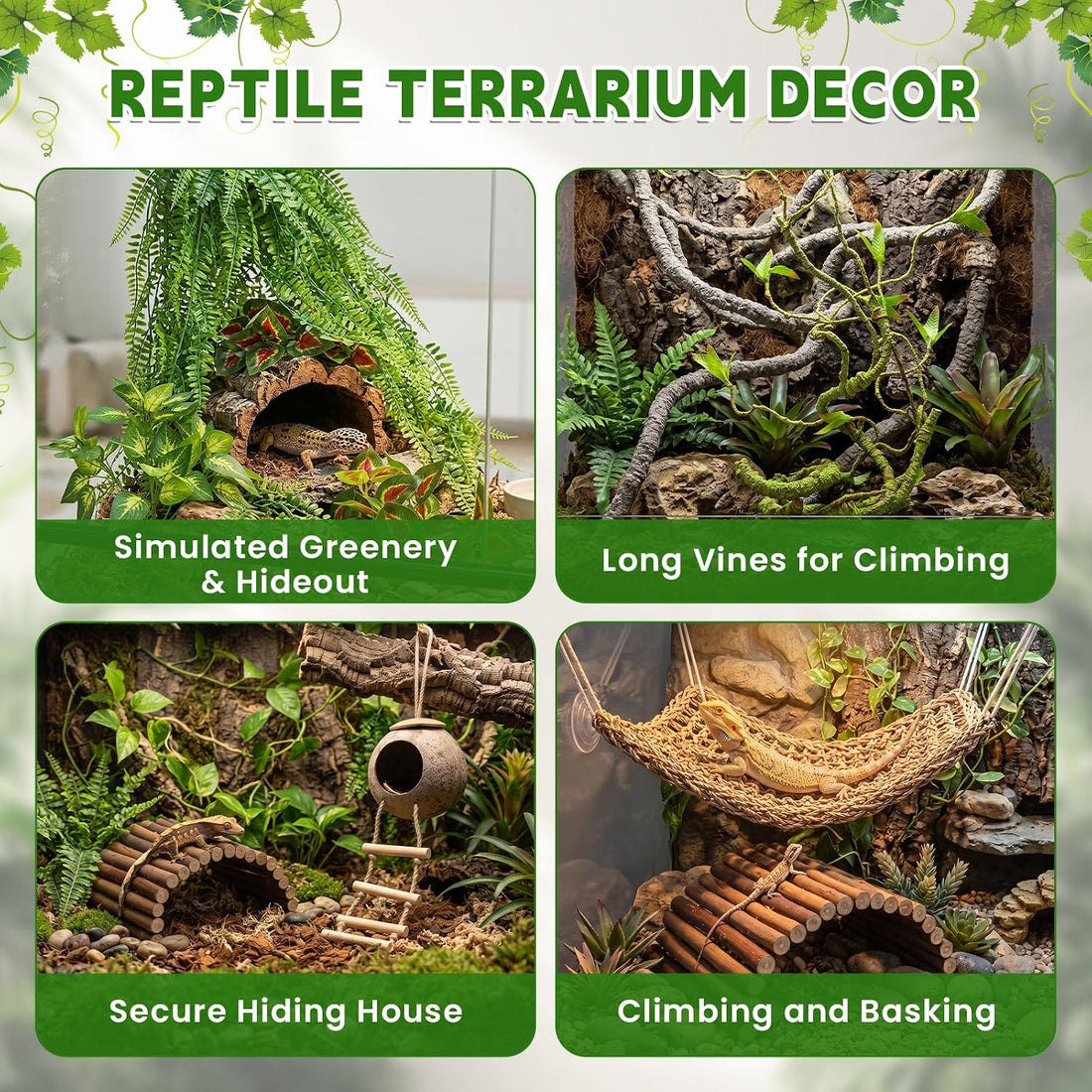 Reptile Plants for Bearded Dragon Tank Accessories