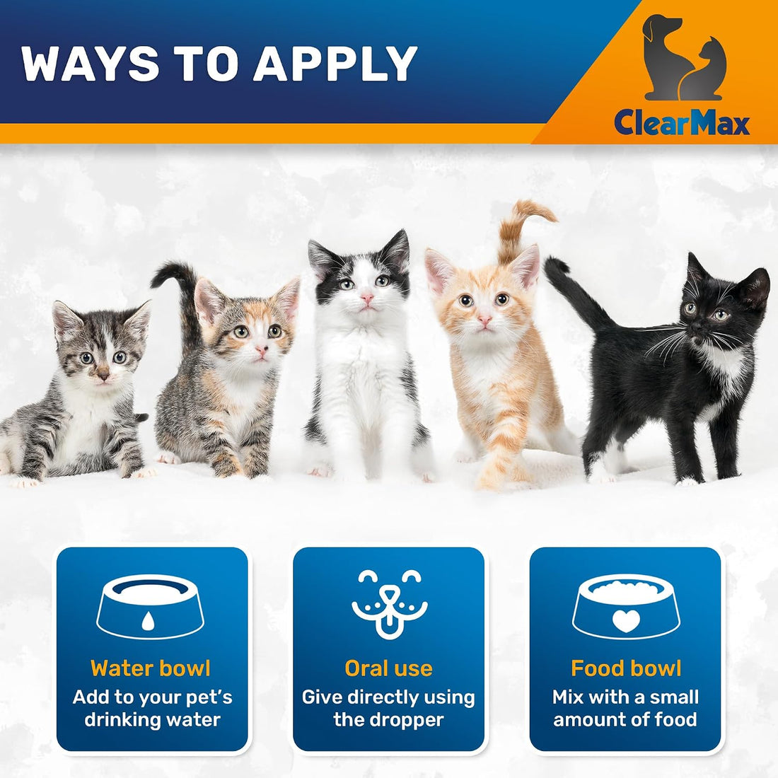 Cat Antibiotic Respiratory Support During Cough & Allergies