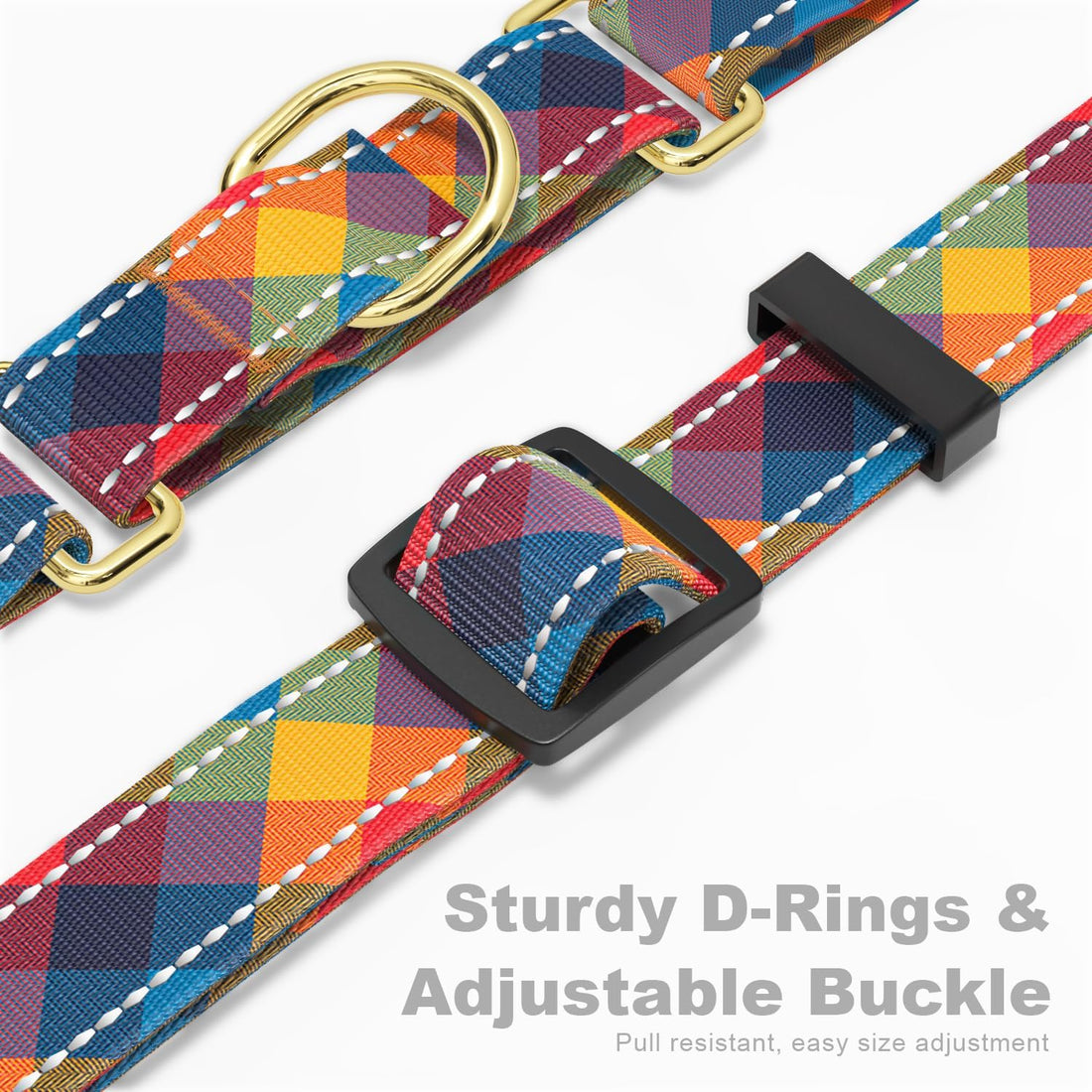 Martingale Dog Collar for Large Dogs