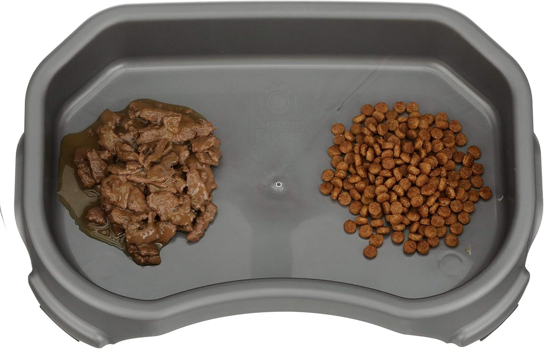 Neater Pet Brands Large Capacity Outdoor Dog Water Bowl for Small Dogs