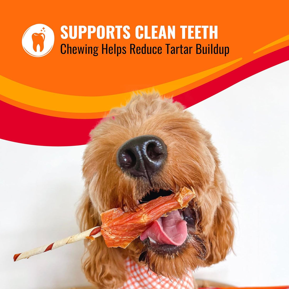 GOOD 'N' FUN Twists Long-Lasting Dog Treat with Real Bully, 12 Count