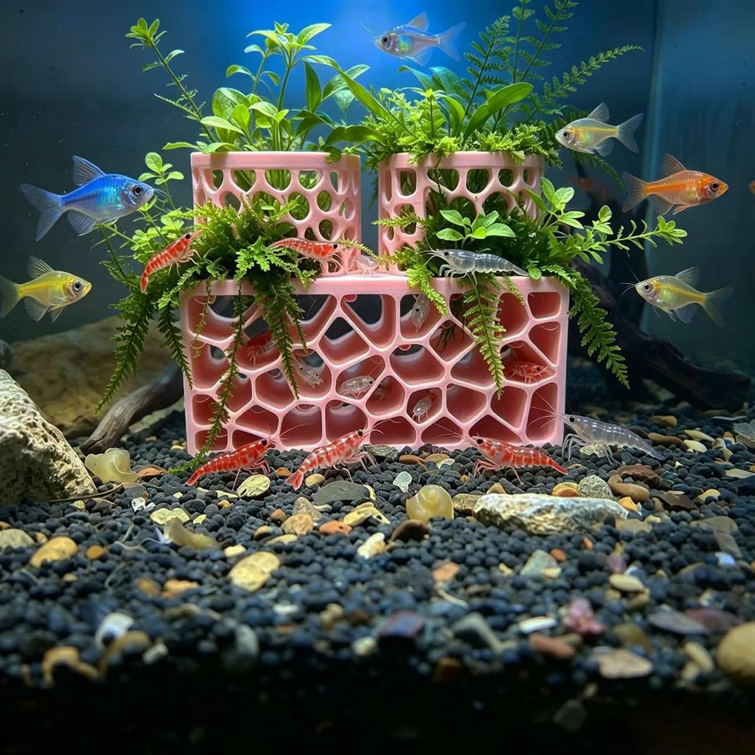 Porous Aquarium Shrimp Hideout with 2 Plant Cups