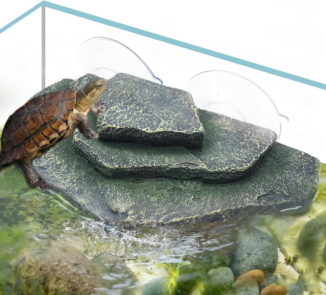 kathson Turtle Basking Platform,Tortoise Dock Floating Resting