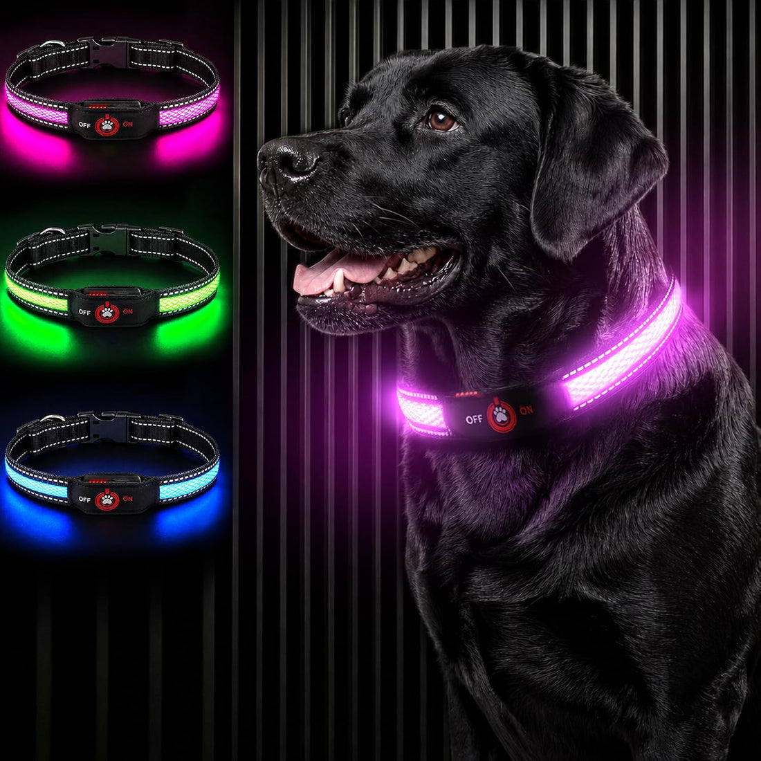 Light Up Dog Collar for Large Dogs, Super Bright Glow Collar