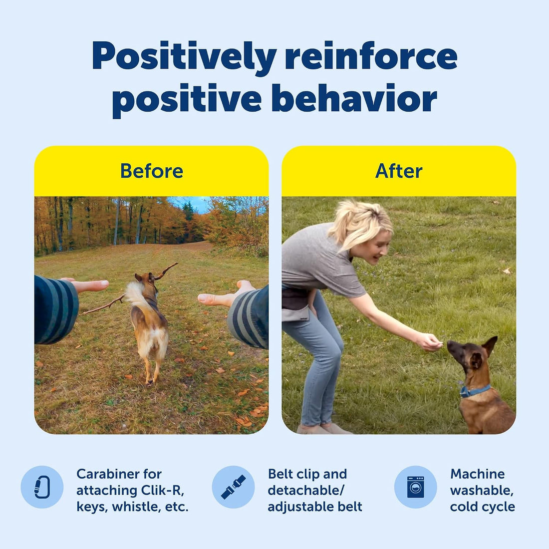 PetSafe Treat Pouch Sport- Durable, Convenient Dog Training Accessory