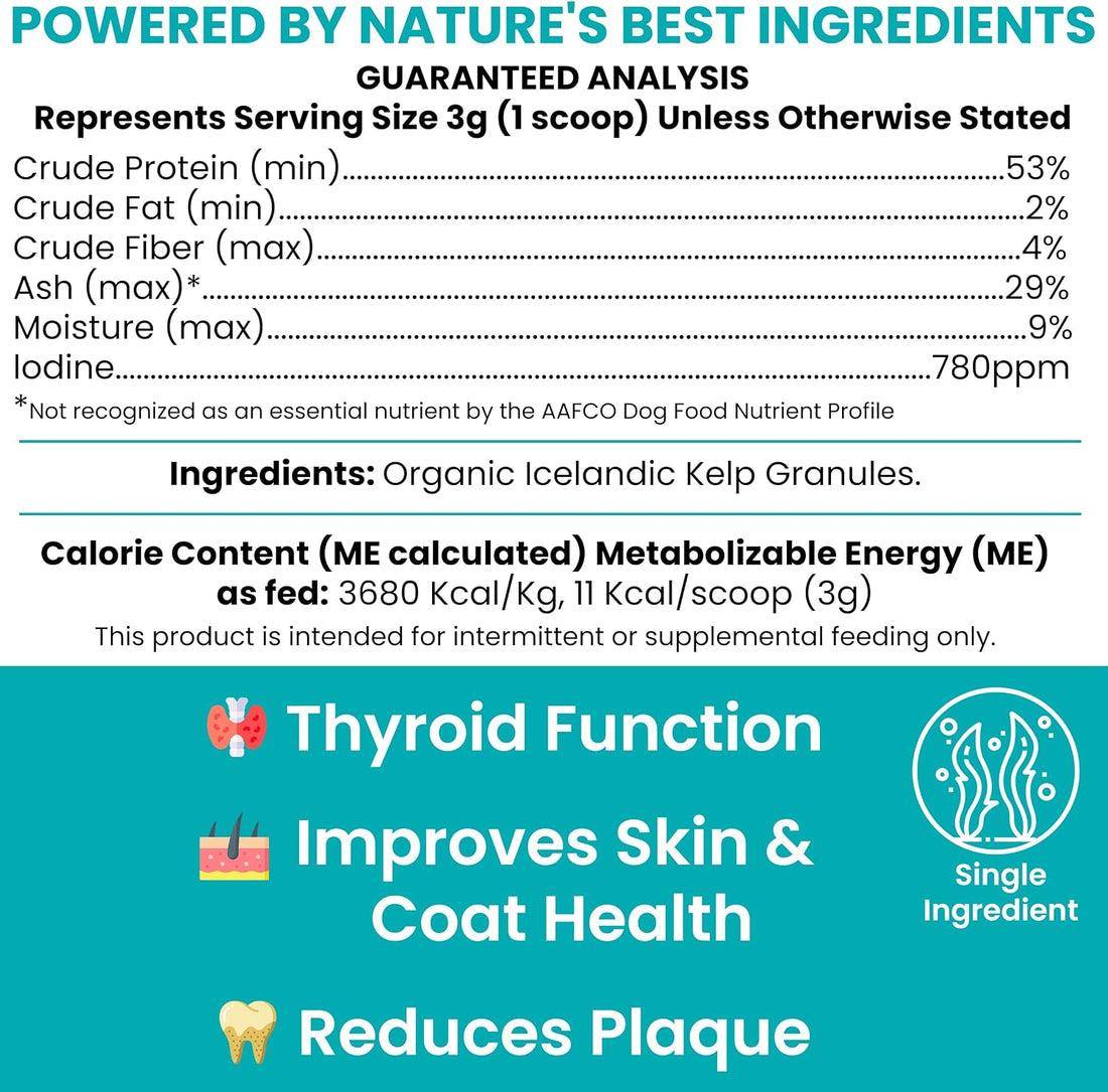 Organic Kelp Powder for Dogs