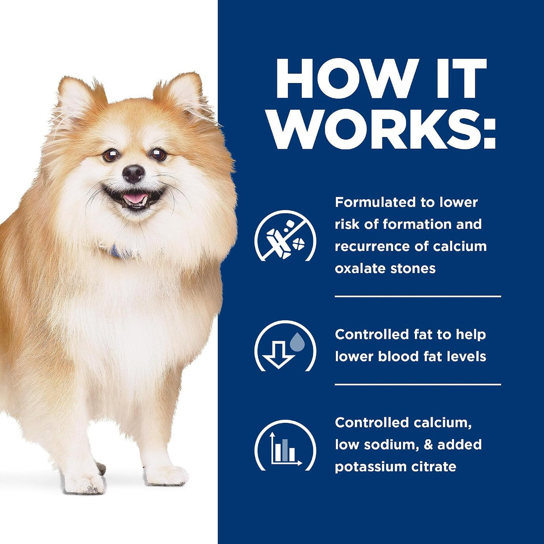 Hill's Prescription Diet c/d Multicare Low Fat Urinary Care Dry Dog