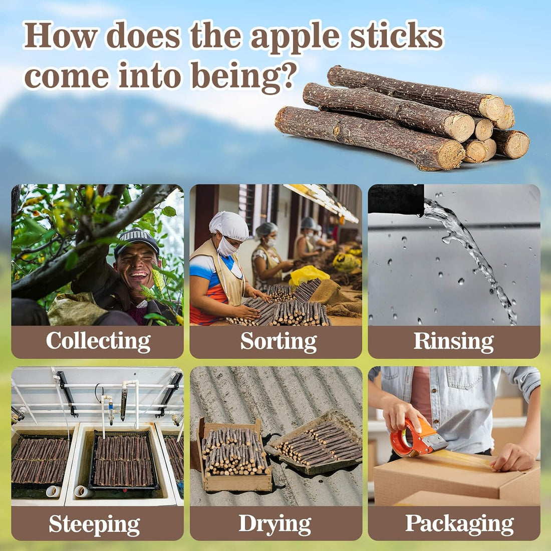 Sukh Natural Organic Apple Sticks - 250g Chew Sticks for Small Animals
