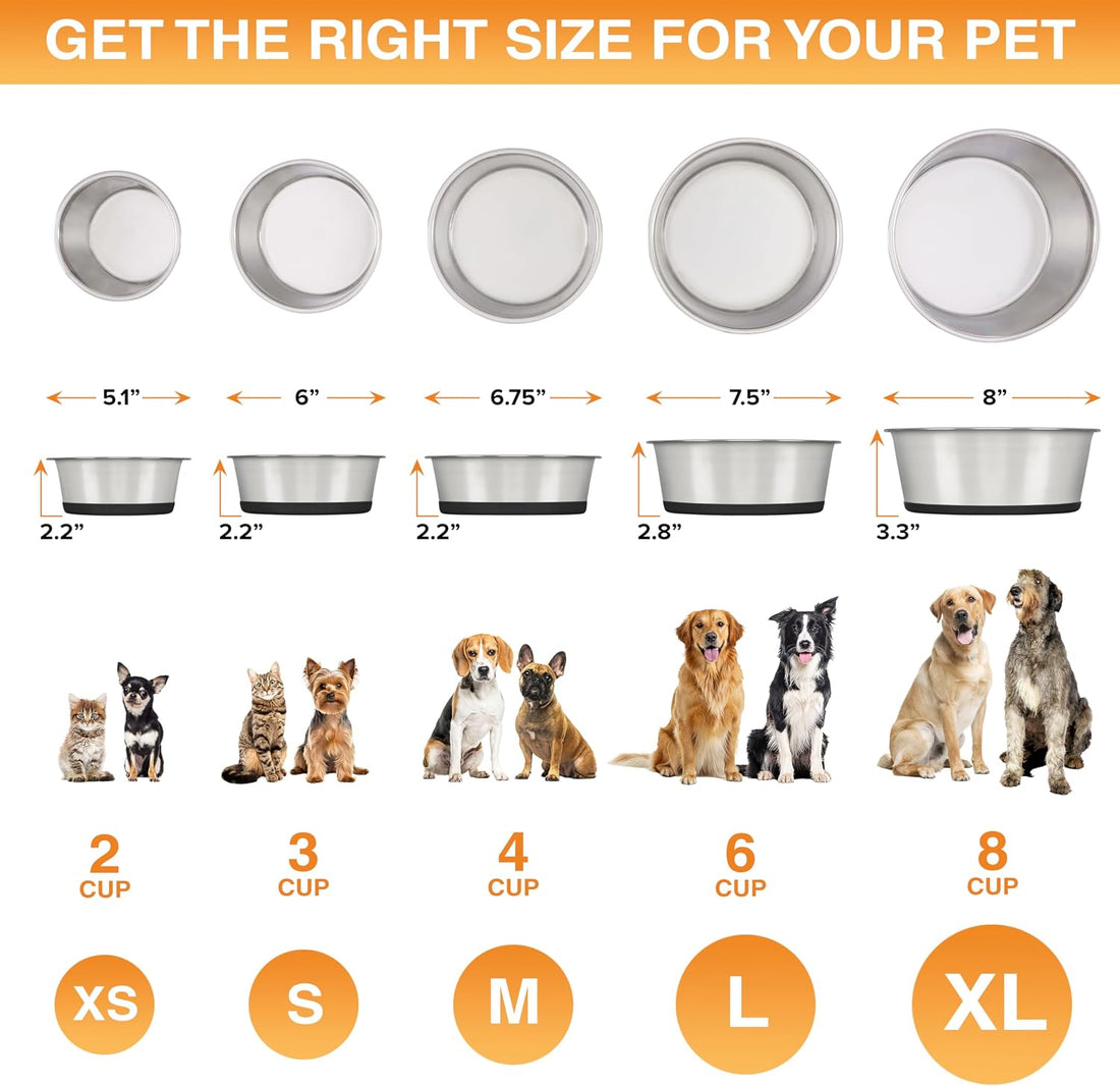Neater Pet Brands Stainless Steel Dog Bowls with Non-Slip Rubber