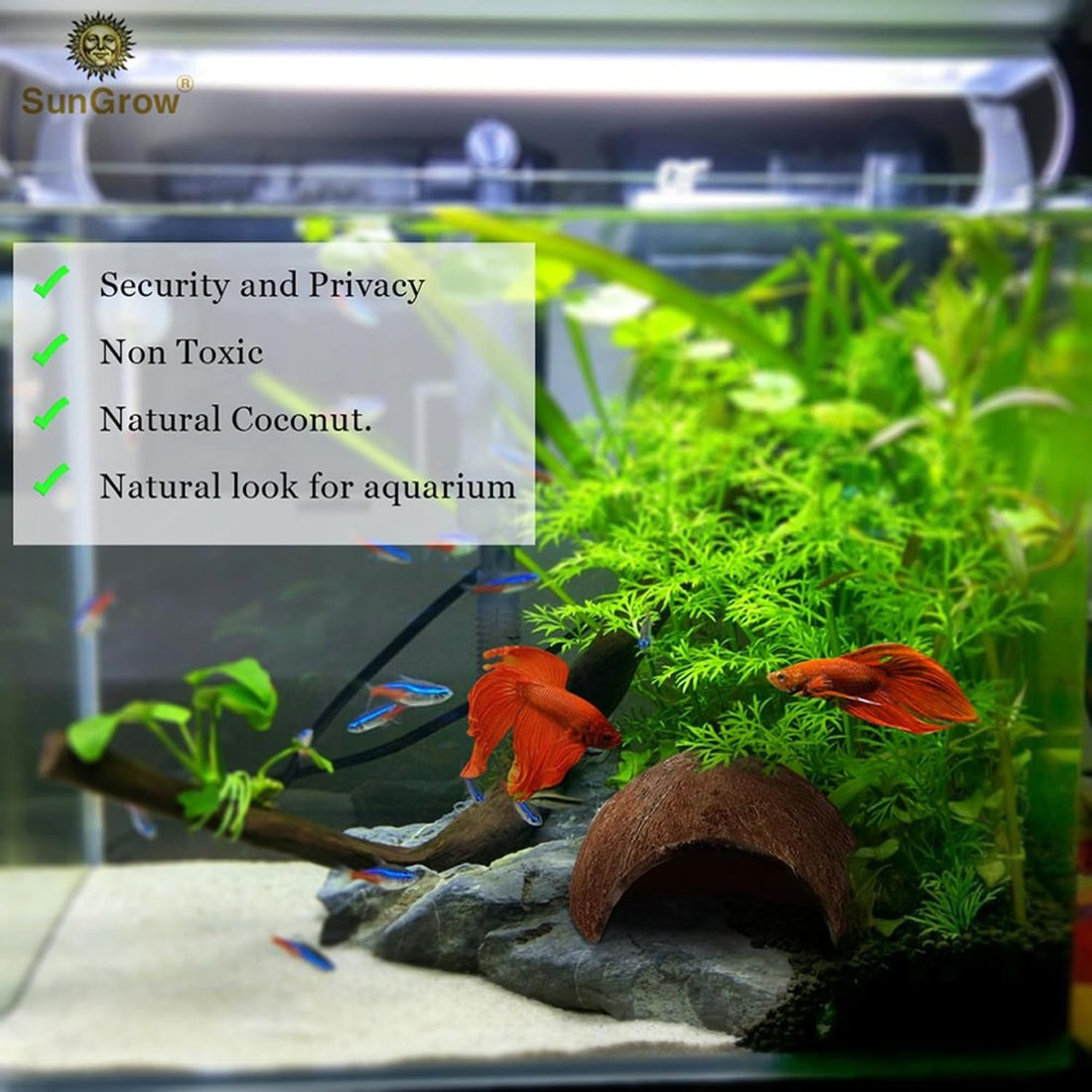 SunGrow Betta Fish Cave, Habitat Made from Coconut Shell