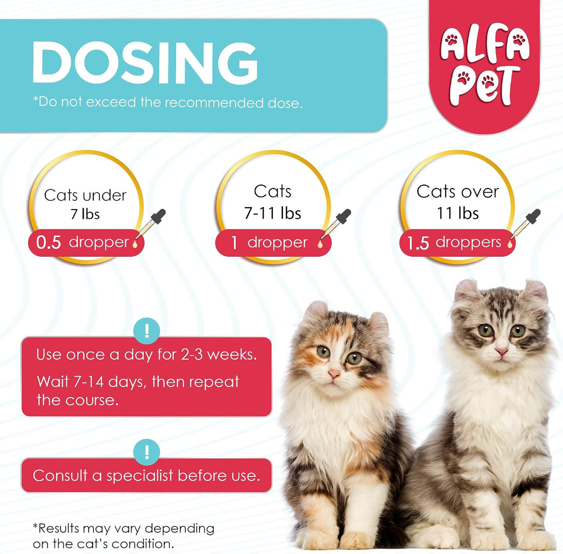 L Lysine for Cats with Taurine & Probiotic