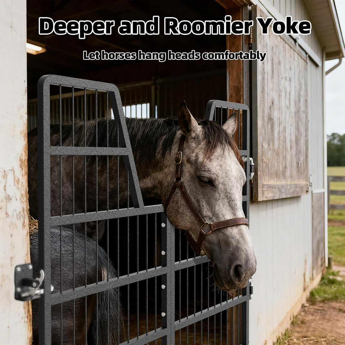 Horse Stall Gates