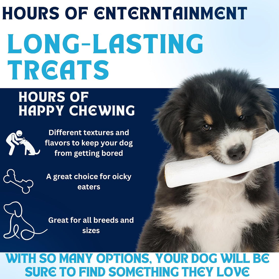 FETCHERONI Dog Treat Variety Box - Long Lasting Dog Chew Treats