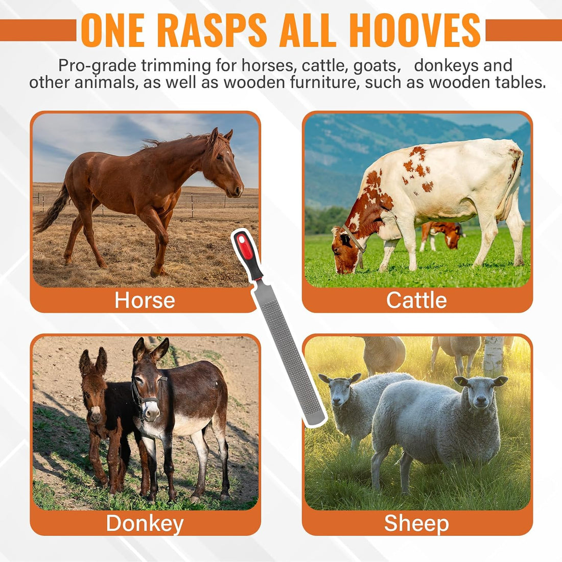 18Inch Professional Farrier Hoof Rasp