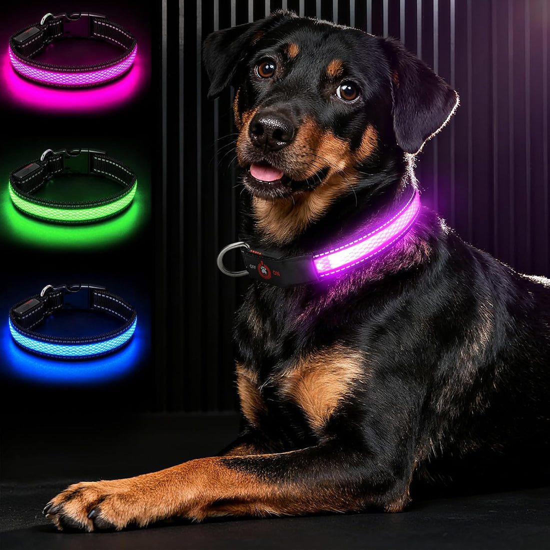 Light Up Dog Collar for Large Dogs, Super Bright Glow Collar