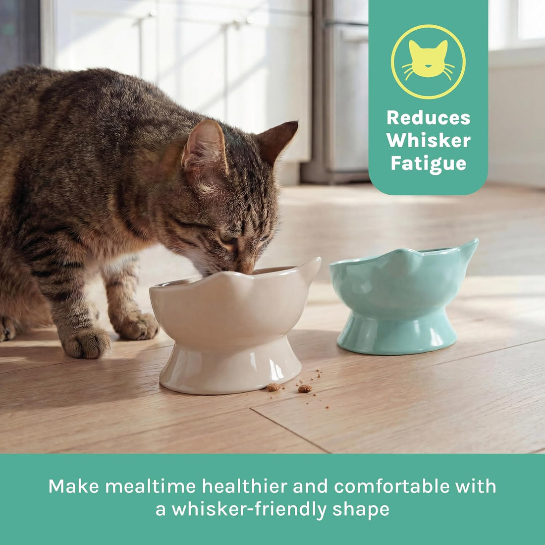 Kitty City Elevated Cat Bowls