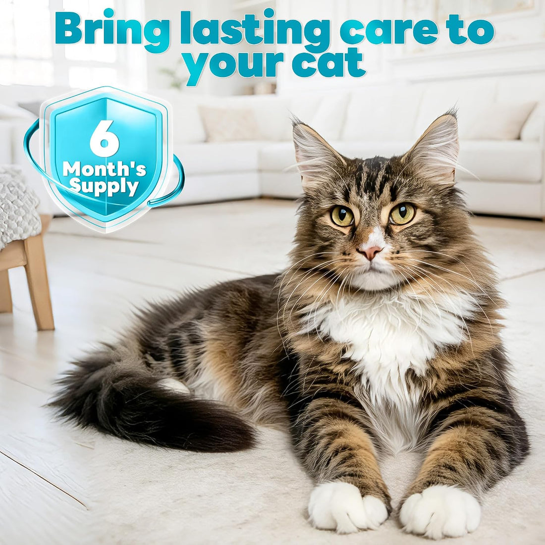 Topical Flea and Tick for Cats