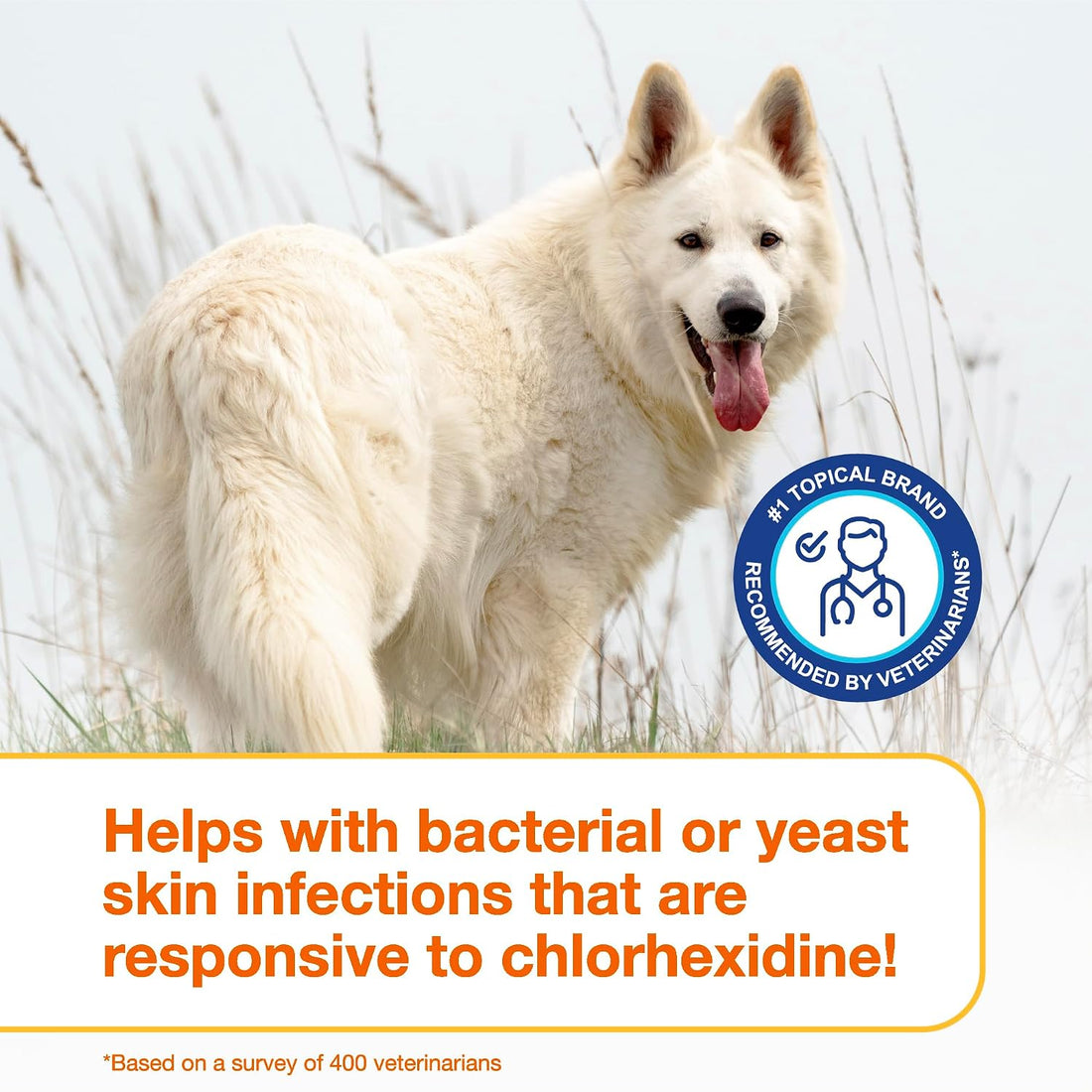 Douxo S3 PYO Chlorhexidine Shampoo & Mousse for Dogs