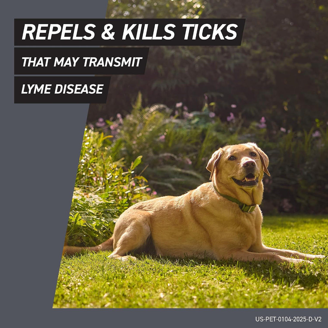 FRONTLINE Shield Flea & Tick Treatment for Large Dogs 41-80 lbs.