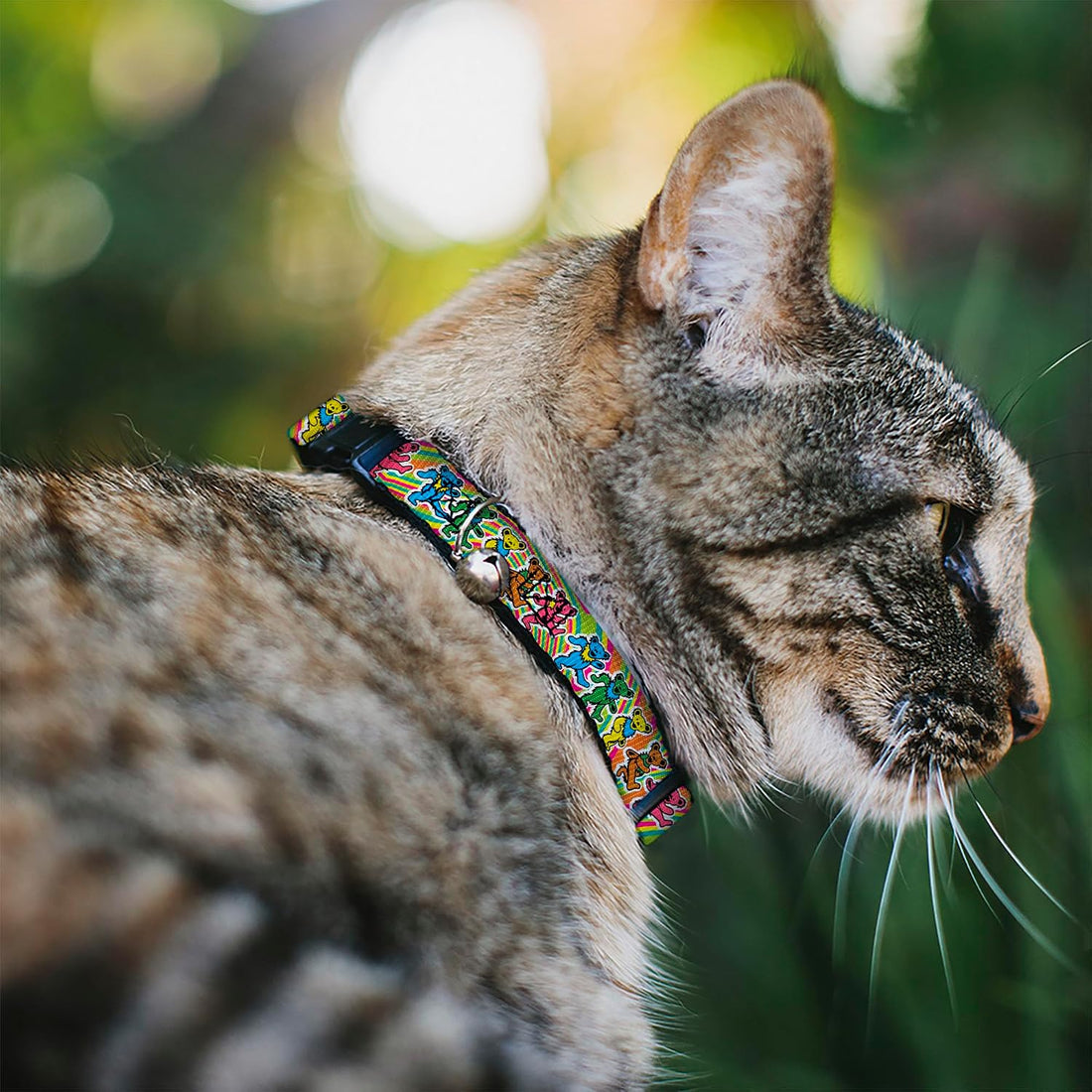 Grateful Dead Breakaway Cat Collar