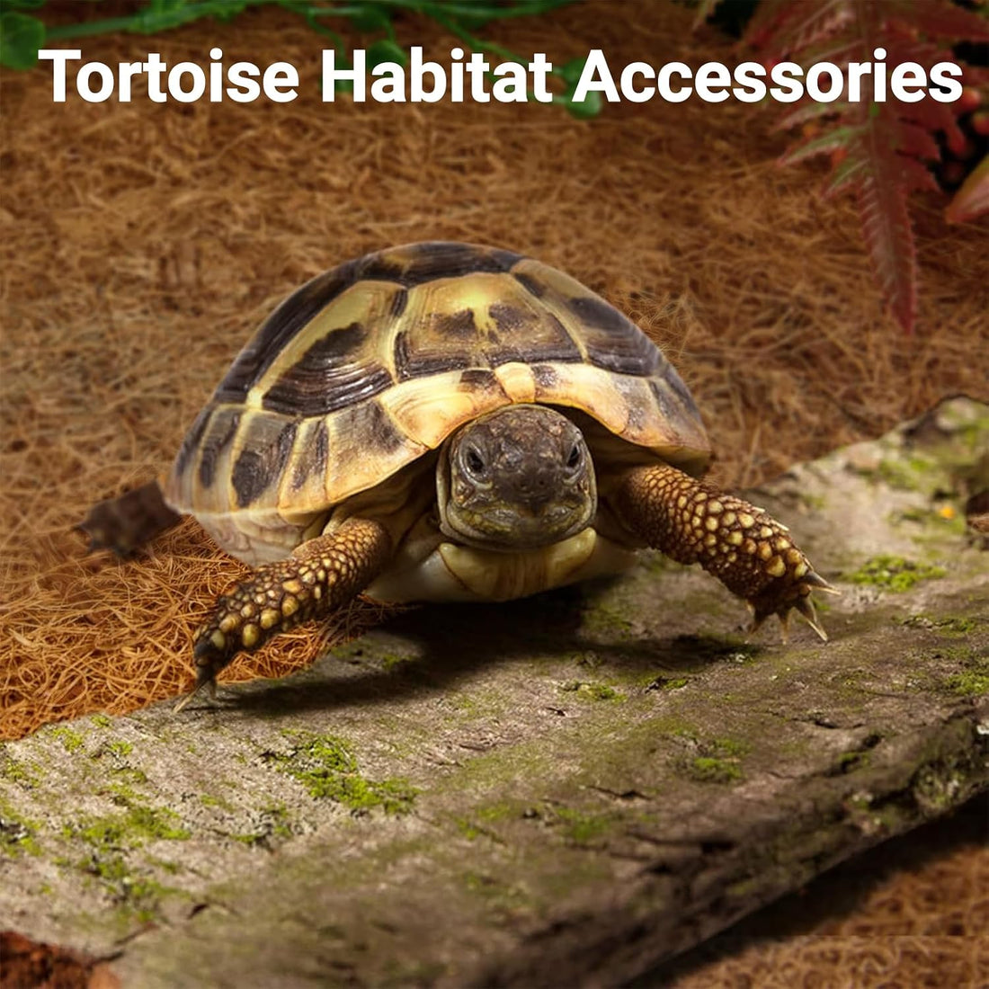 ZeeDix 10 Pcs Reptile Carpet 12x12 Inch Coconut Fiber Mat for Tank