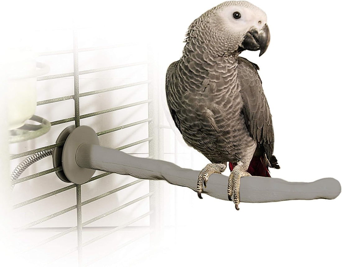 K&H Bird Heater, Thermo-Perch for Cage, Small 1x10.5in 12V, Gray