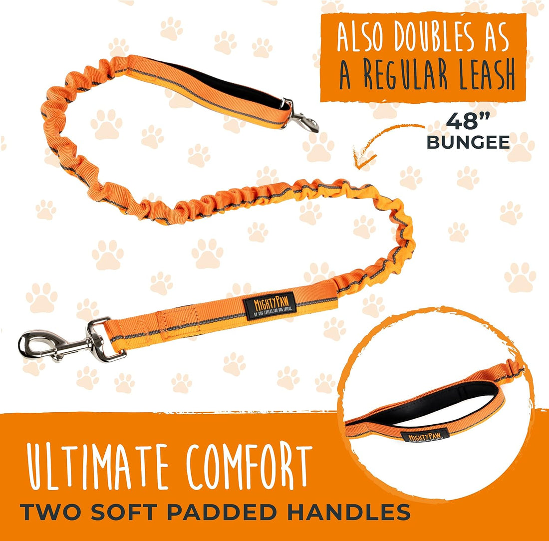 Mighty Paw Hands Free Dog Leash