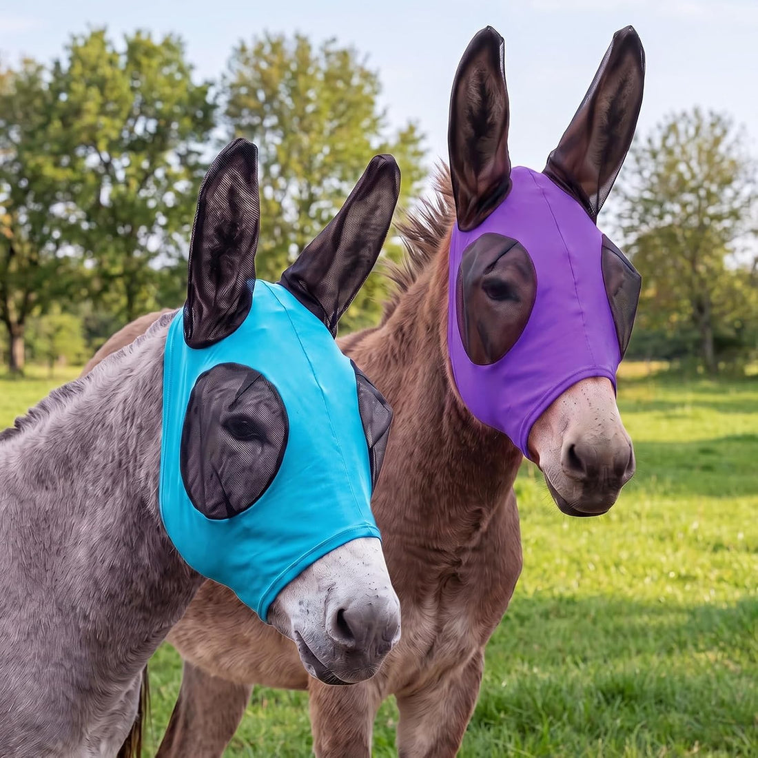 2 Pcs Mini Donkey Fly Mask with Ears Protection and Big Mesh Eye