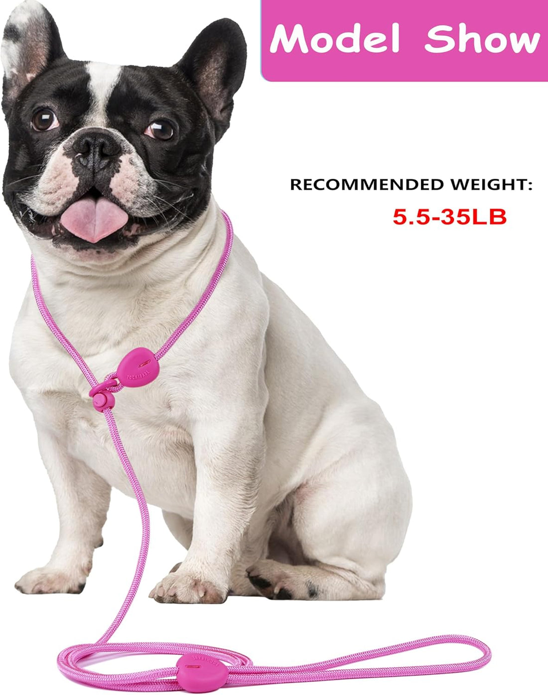 6FT Dog Training Leash - Slip Lead for Small & Medium Dogs - Strong