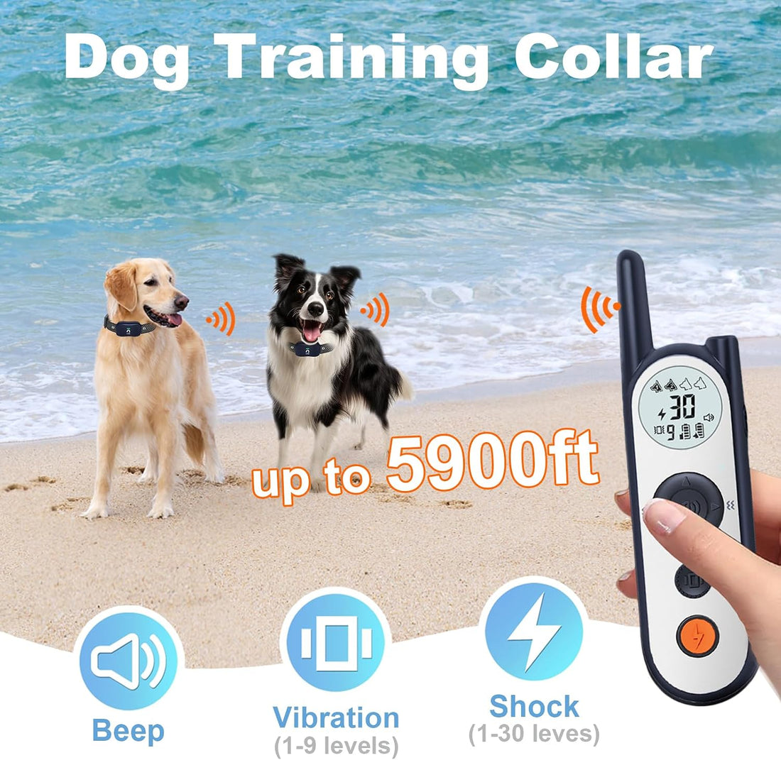 MIMOFPET Wireless Dog Fence for 2 Dogs