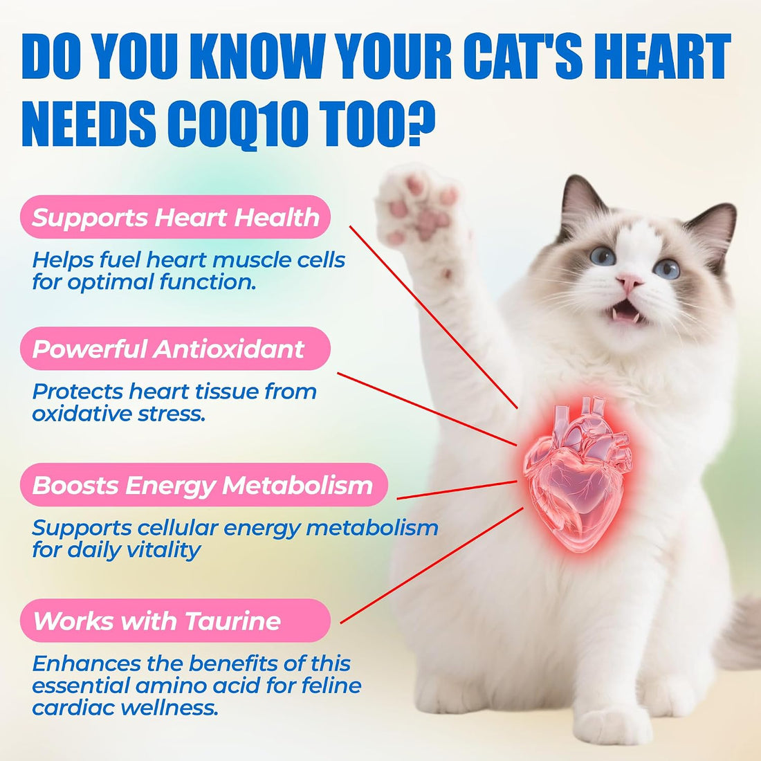 Just Try Coenzyme Q10 coq10 Bites for Cats
