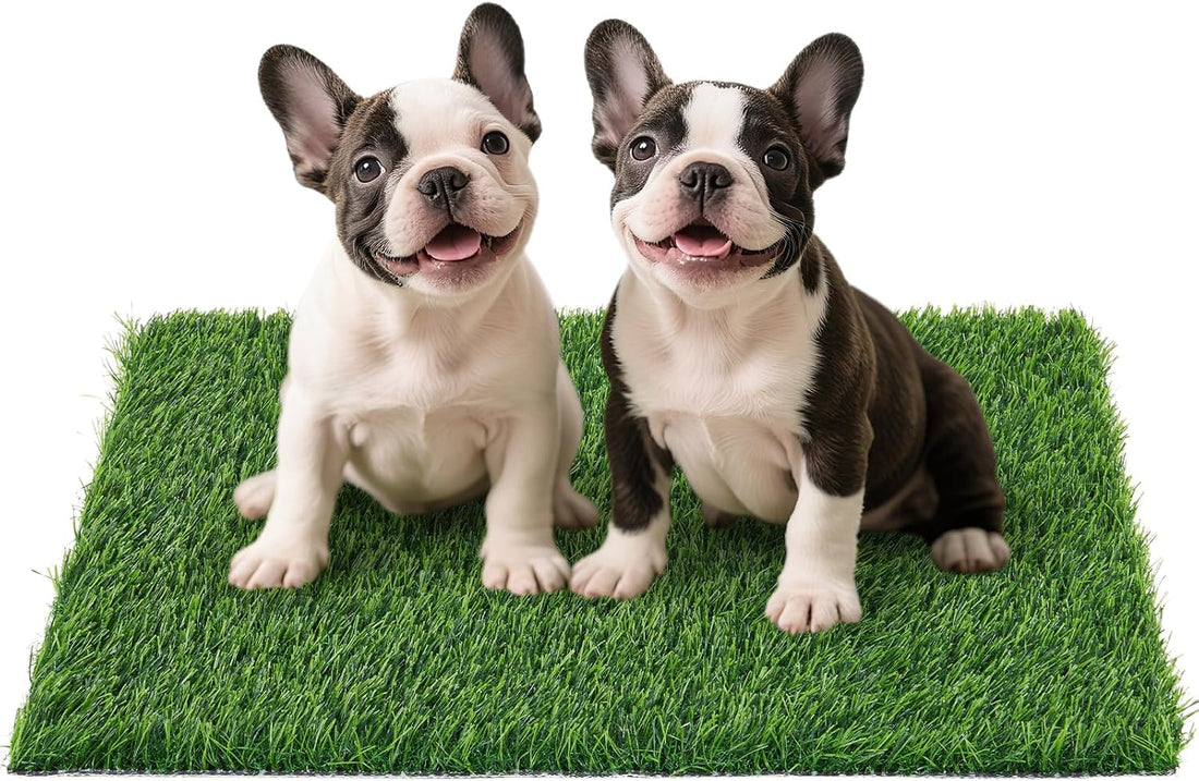 Replacement Artificial Grass Pee Pads for Dogs Potty Training to Pee