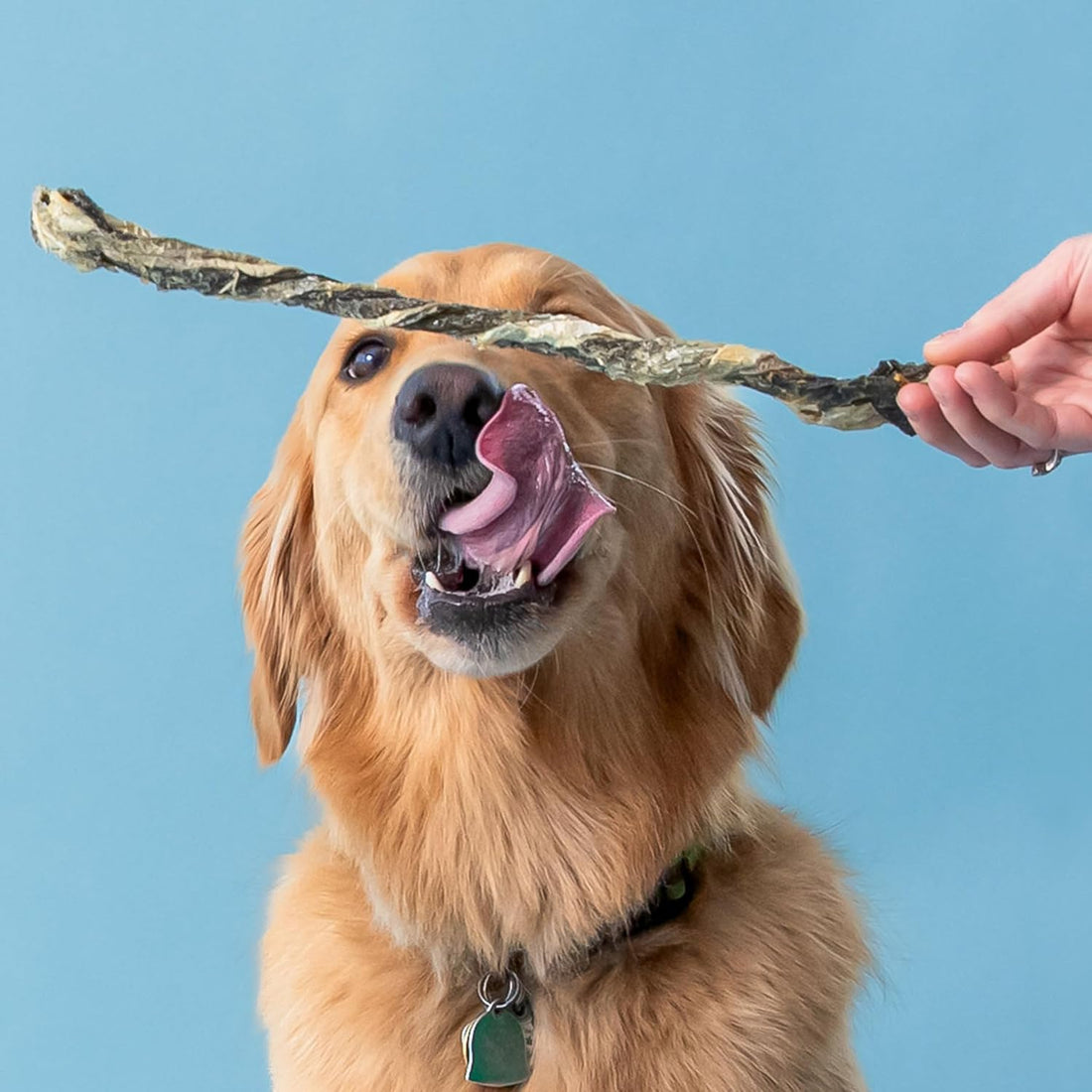 Polkadog Cod Skins for Dogs - Single Ingredient