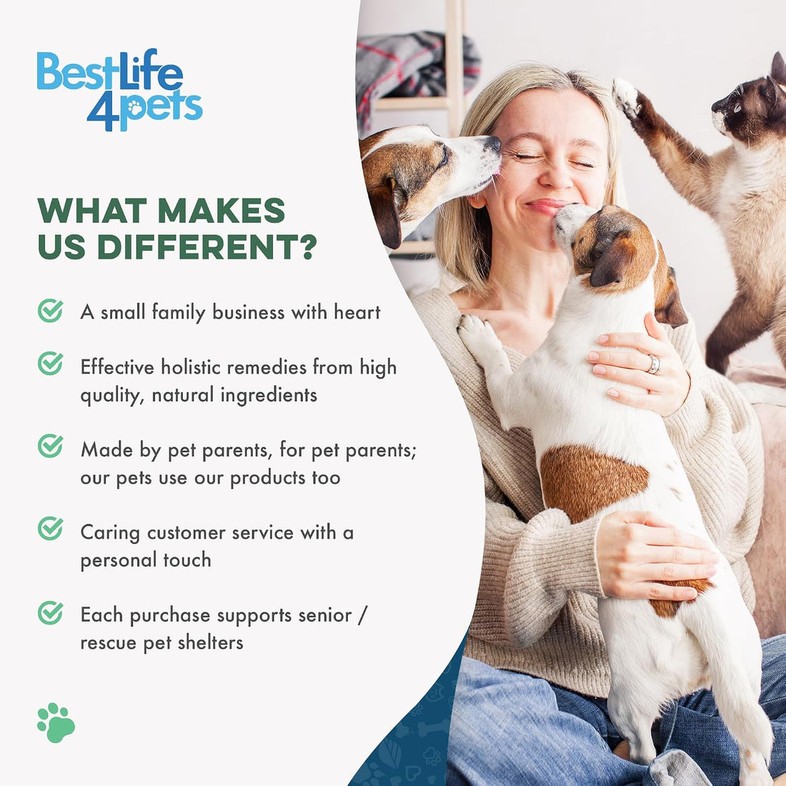 Cat Joint Supplement and Mobility Support
