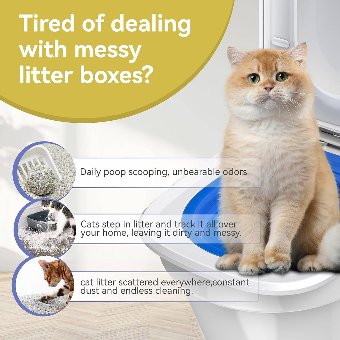 Cat Toilet Trainer Kit | Cat Potty Training Kit