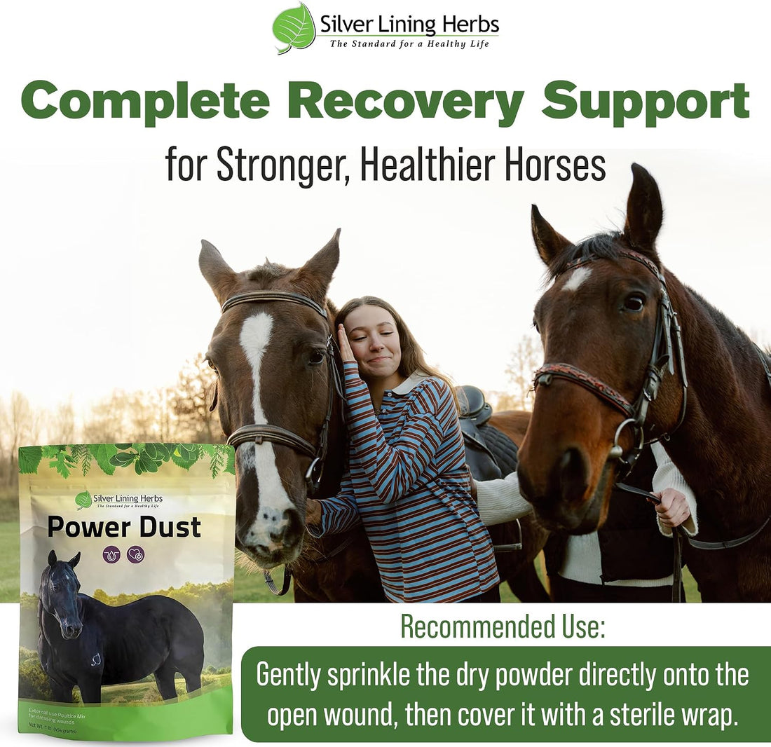 Silver Lining Herbs Power Dust Horse Wound Care Powder - 1 lb