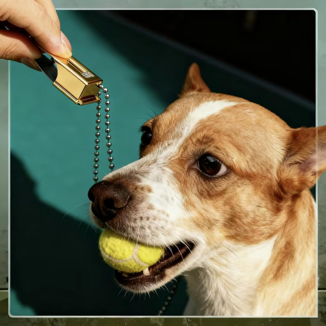 Jenaai 3 Pieces Brass Dog Training Clicker with Chain for Dogs Cats
