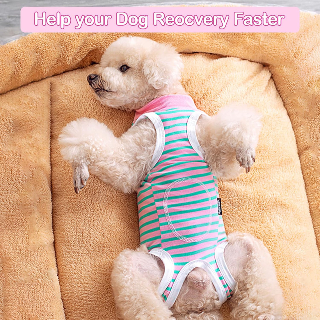 Coppthinktu Recovery Suit for Dogs After Surgery
