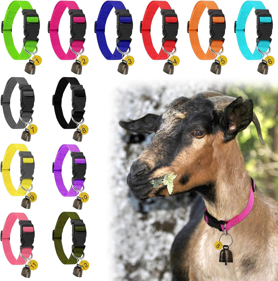 12 Pack Goat Collars with Bells and Number Tags, Adjustable Nylon