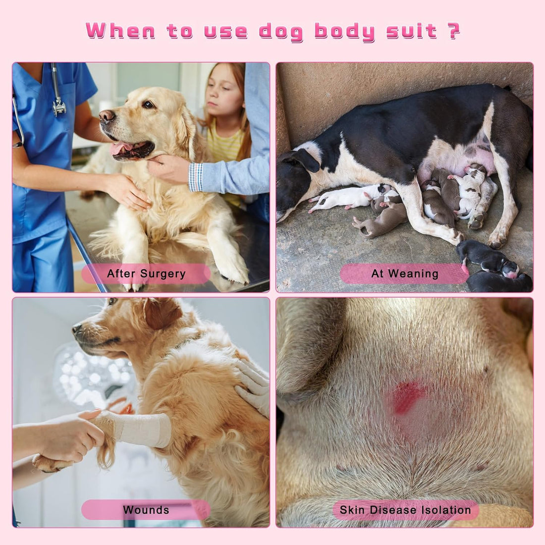 Dog Recovery Suit for After Neuter Spay Abdominal Wounds Protector
