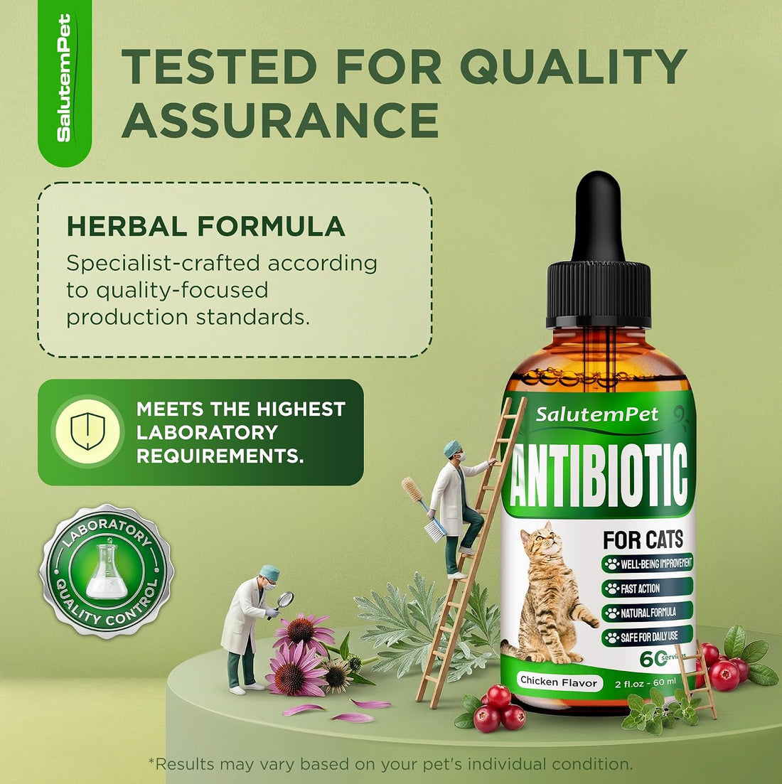 Cat Antibiotic for Infections, UTIs, Respiratory Moments, Cold