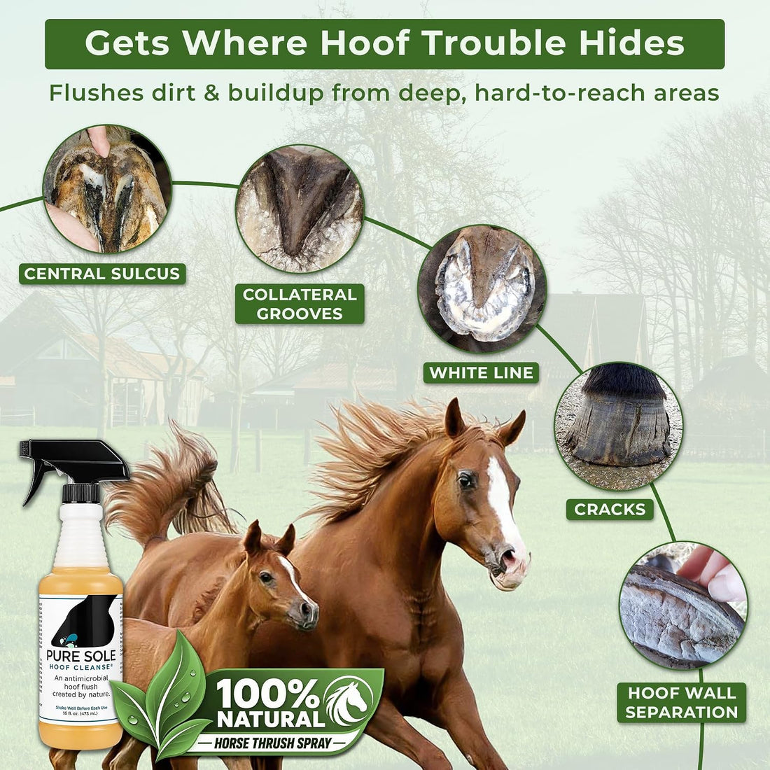 Pure Sole Hoof Cleanse Thrush Treatment Spray for Horses, 16 oz
