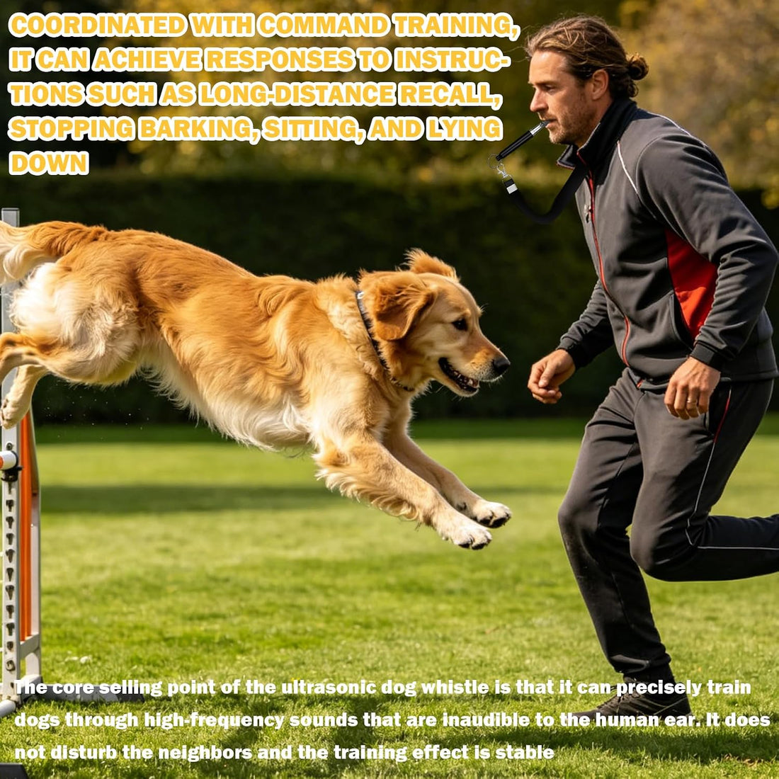 3Pcs Dog Whistle To Stop Barking,For Training Recall,Professional