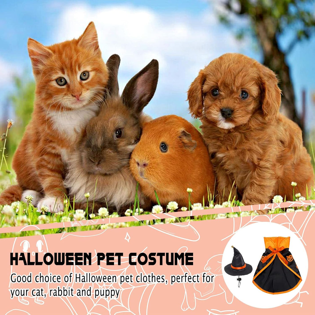 Halloween Costumes for Small Cats Witch Cloak Wizard Hat Cat