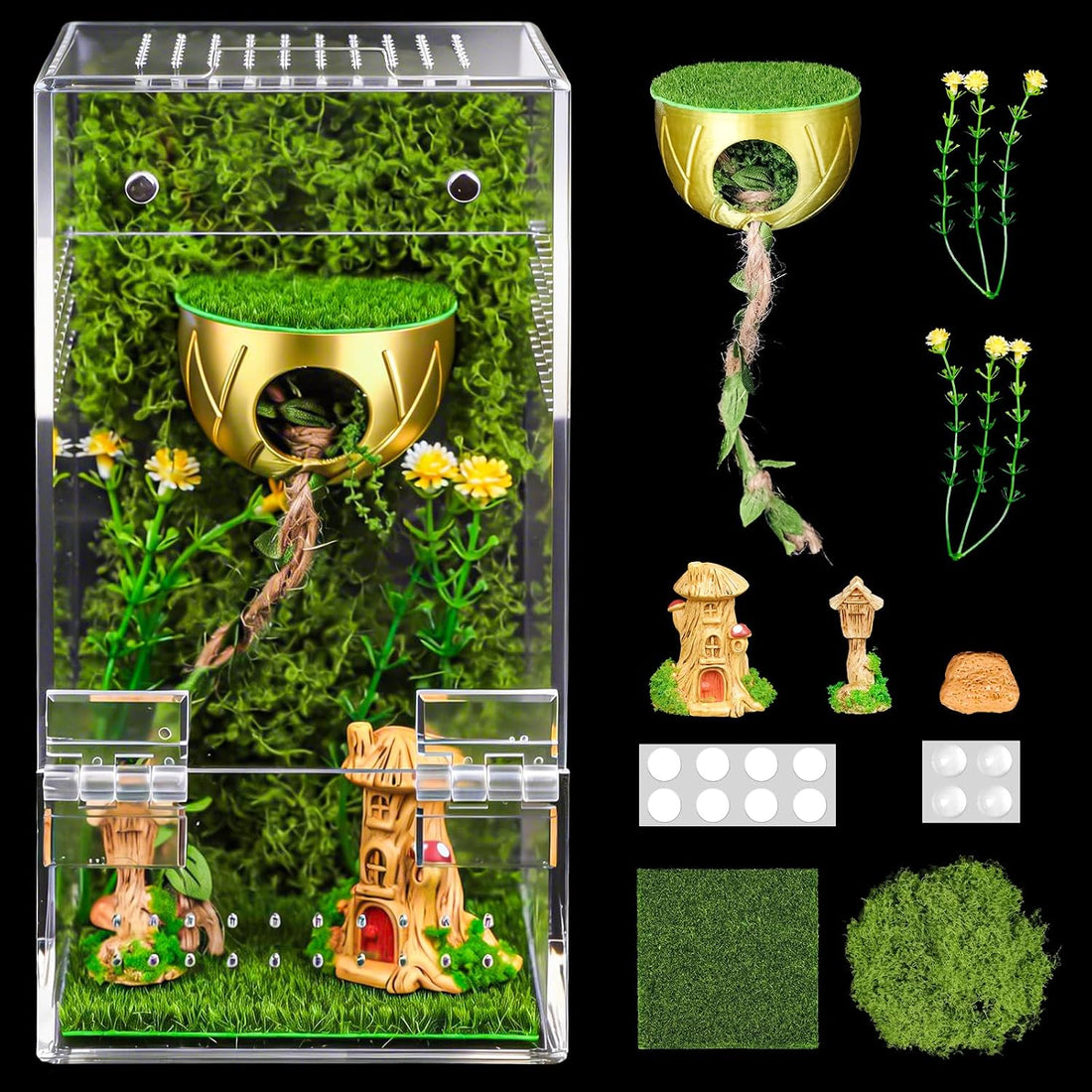 Jumping Spider Enclosure Kit