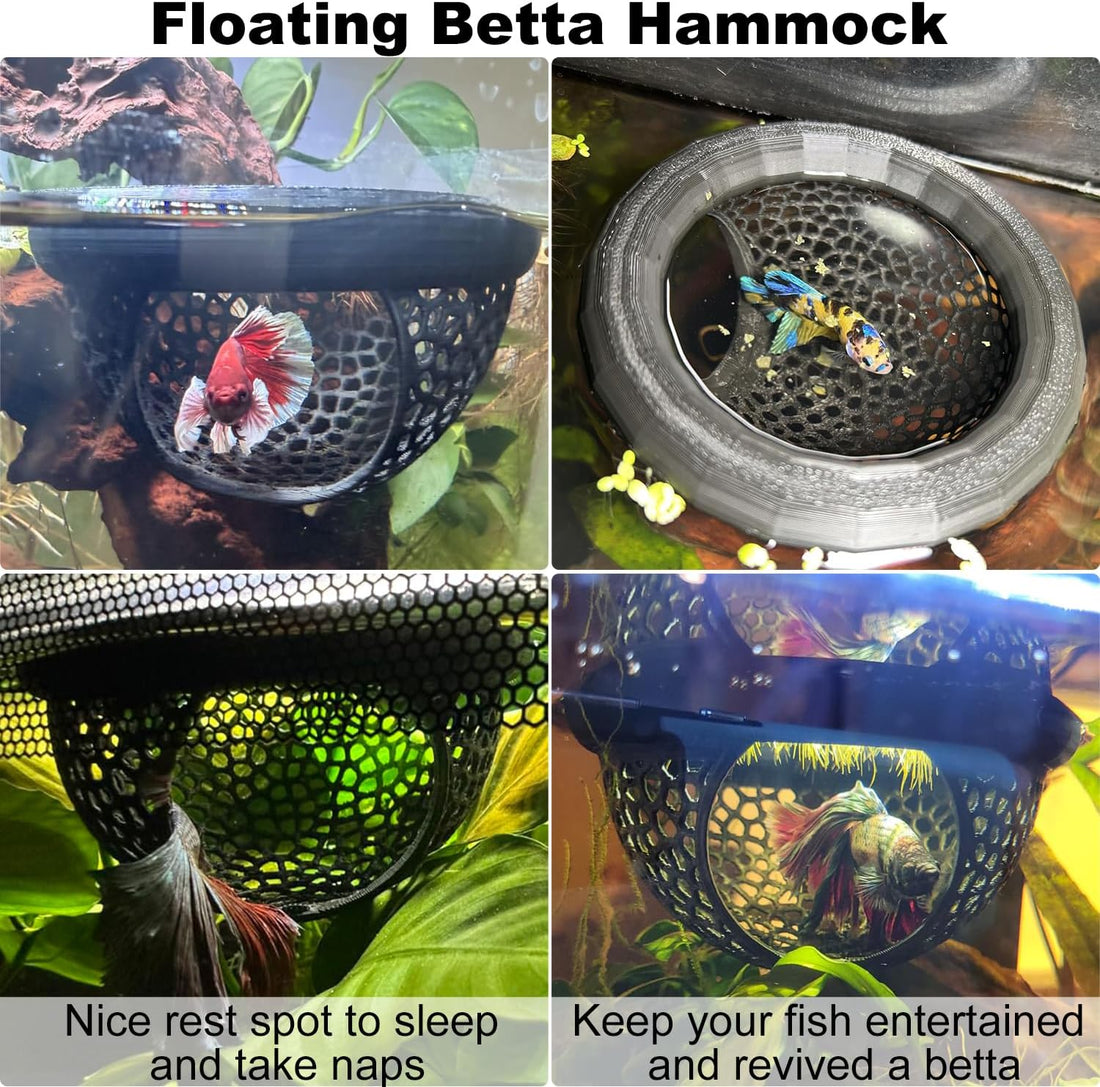 Floating Betta Hammock and Feeding Ring, Aquarium Beta Hideout, Cave