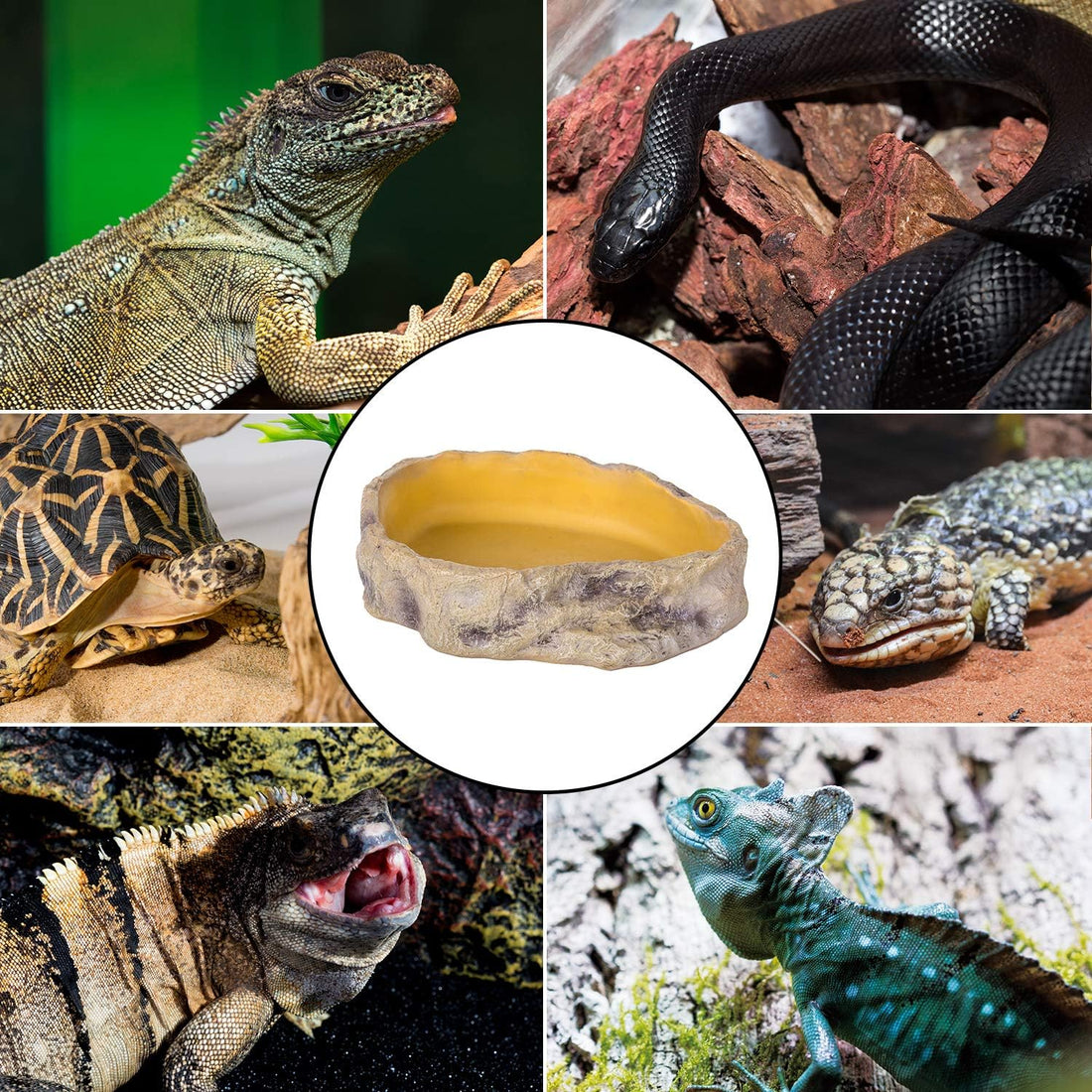 REPTIZOO Reptile Water Bowl Terrarium Water Dish Food Feeding Bowl