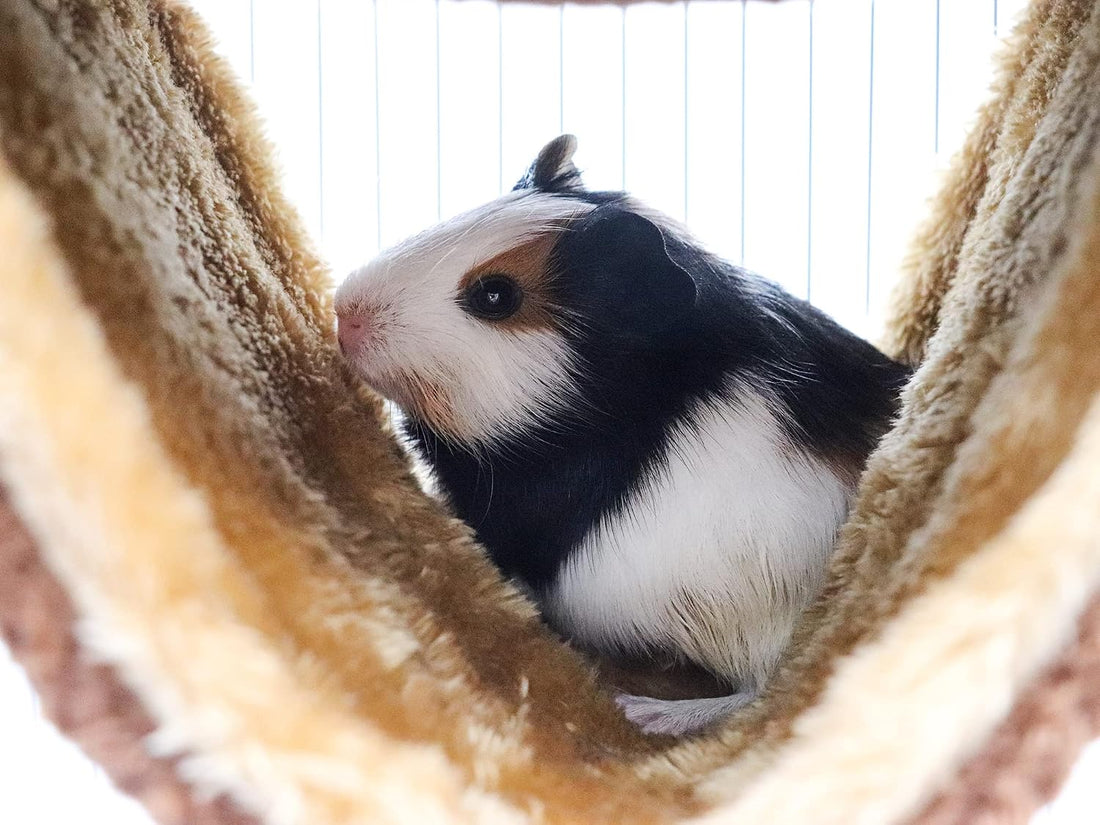 Fleece Winter Warm Rat Hammock