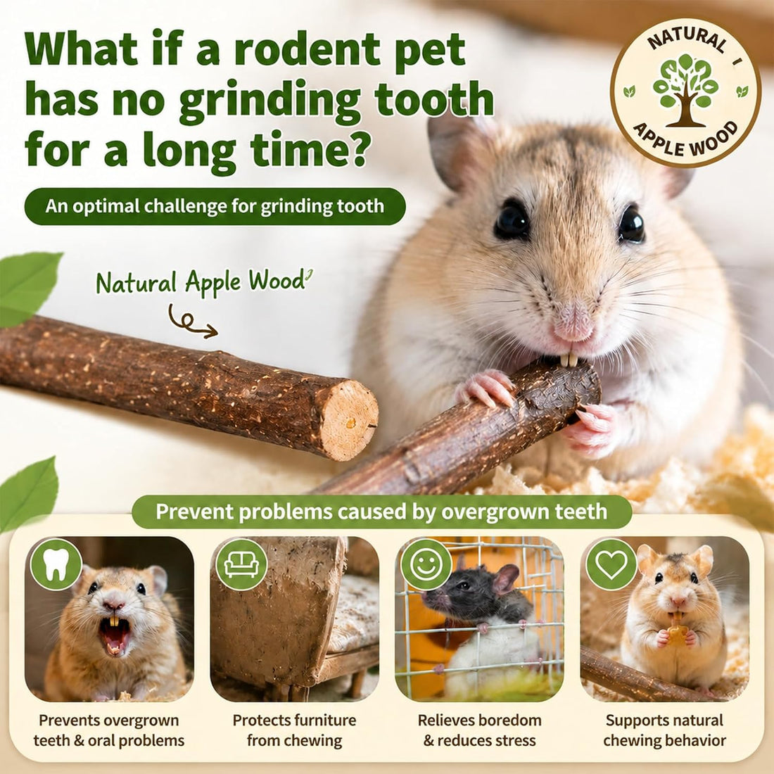 Sukh Natural Organic Apple Sticks - 250g Chew Sticks for Small Animals