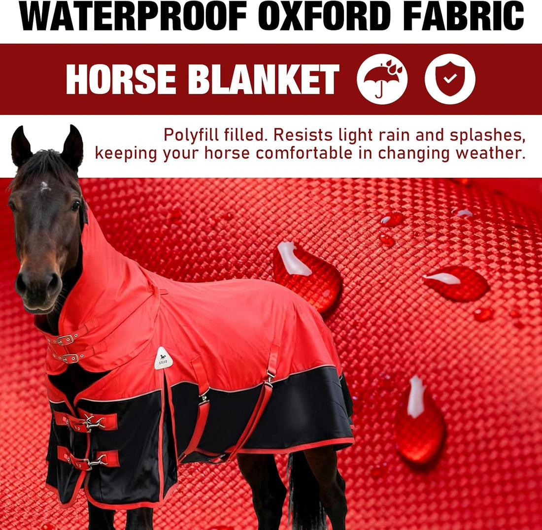 Horse Blankets Winter for Real Horses